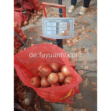 Frische gelbe Zwiebel nach Thailand